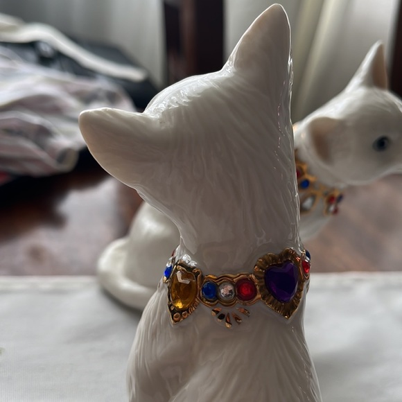 Adeline collection kittens - Picture 4 of 6